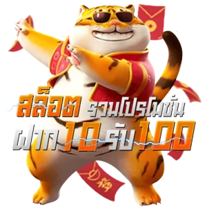ทาง เข้าsafezone28